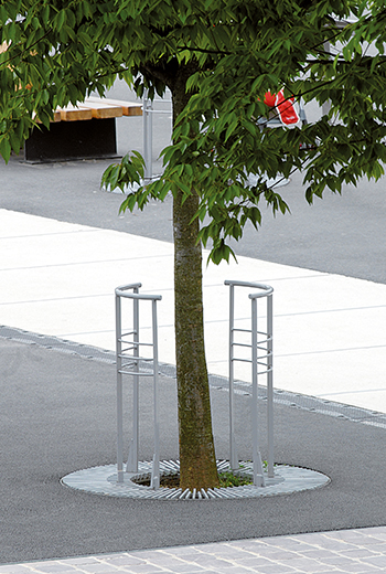 Area - Tree guard and stake - Sparte